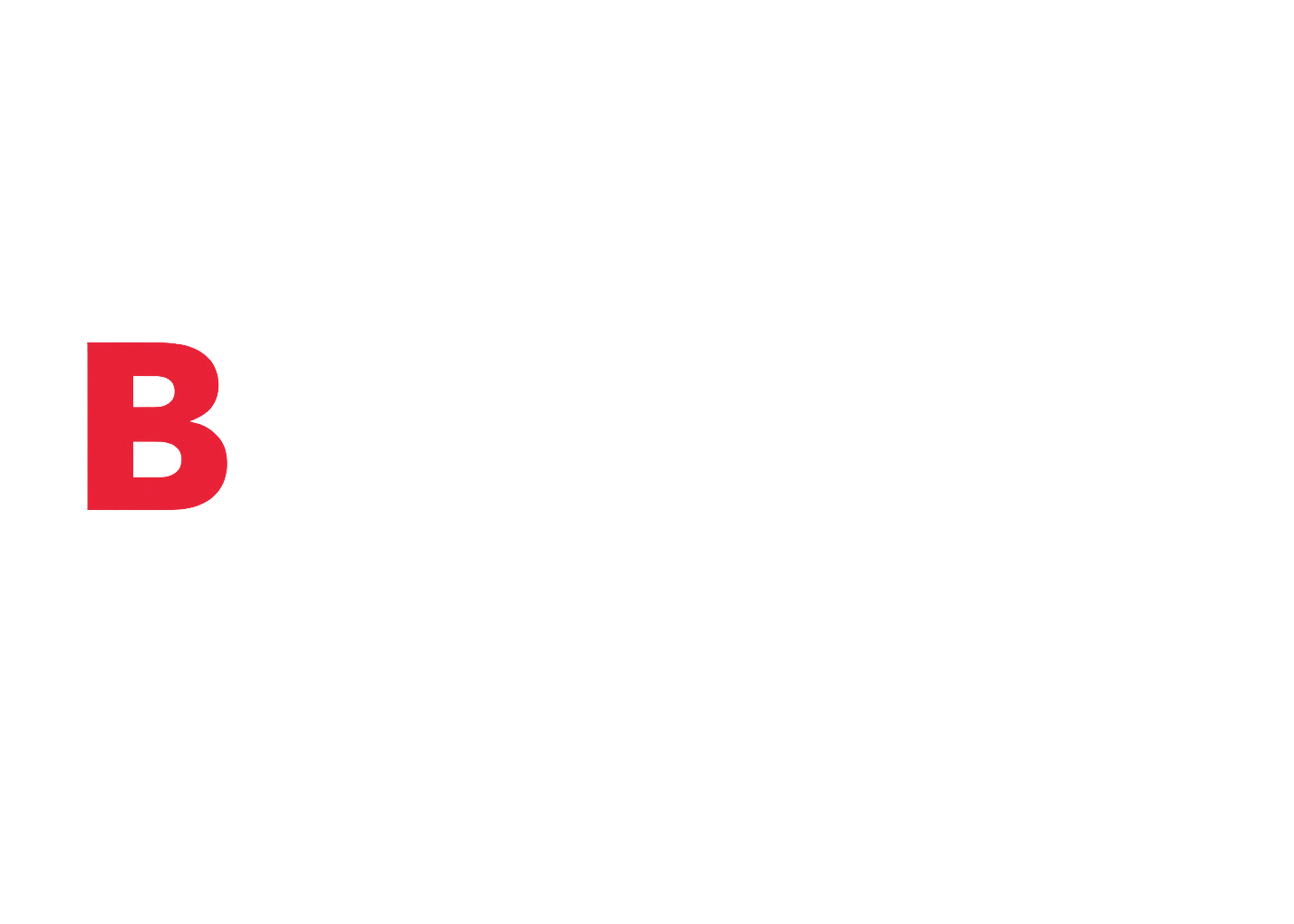 Logo Bernal Cargo